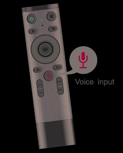 Universal 3D Air Mouse Remote With Voice Control-1915197465016012803